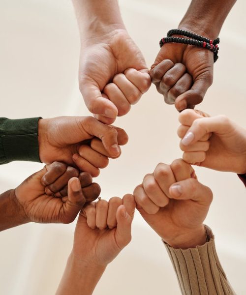 Hands of diverse people fist bumping, symbolizing unity and teamwork.